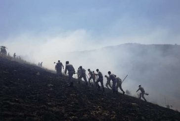 Activa Coesfo brigadas para atender incendios forestales en la Mixteca y Sierra de Juárez