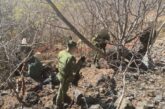 Coordina Fiscalía de Oaxaca operativo de búsqueda y localiza restos óseos en la región de Valles Centrales